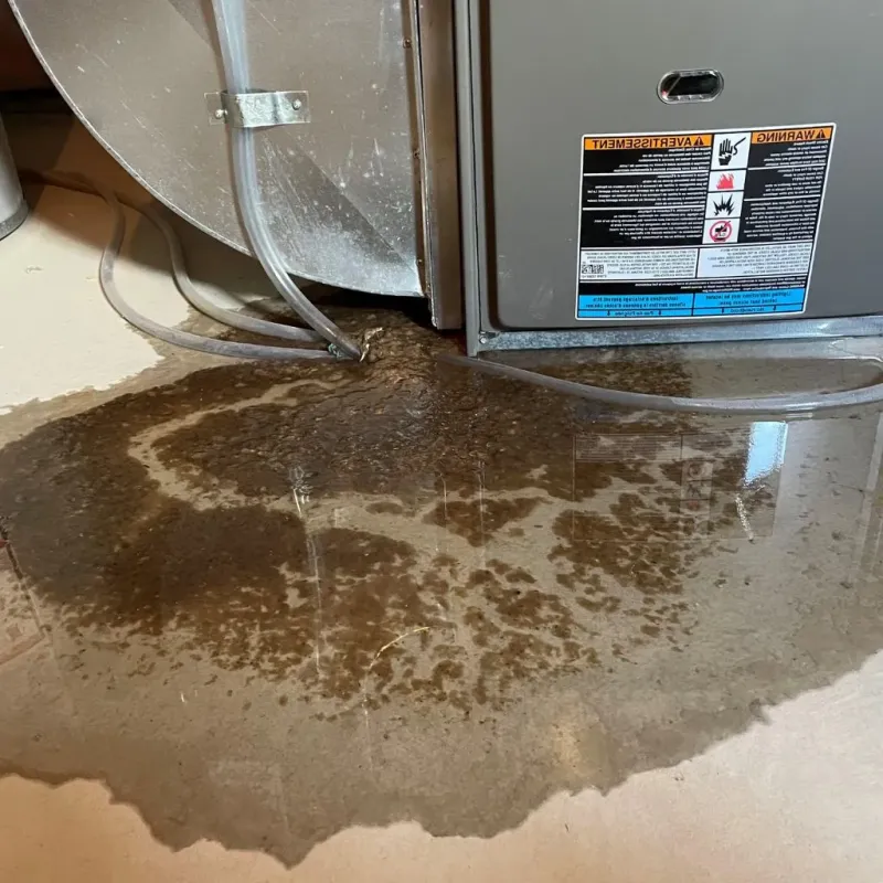 Pipe Burst and Leak Restoration in Oak Park, CA
