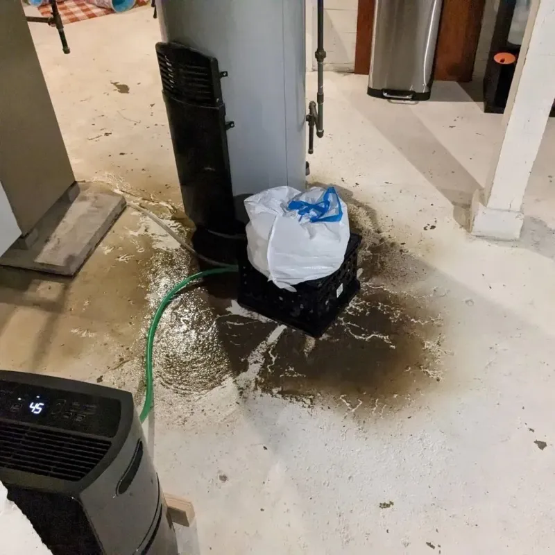 Sewage Backup Cleanup Service in Oak Park, CA